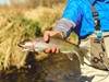 Northern California Fishing Image