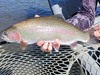 Feather River Fishing Image