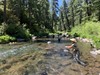 Northern California Fishing Image